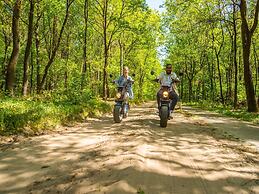 Wooden Chalet with Dishwasher near De Veluwe National Park