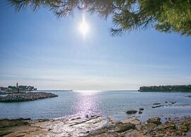 Pleasant Holiday Home in Novigrad