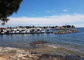 Pleasant Holiday Home in Novigrad