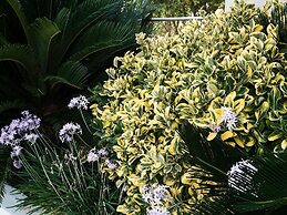 Family Friendly Villa Bluefairy With Private Pool, Near Restaurants & 