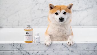 Kimpton St Honore Paris by IHG