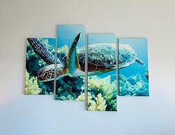 Turtley Paradise West 3 Bedroom Home by RedAwning