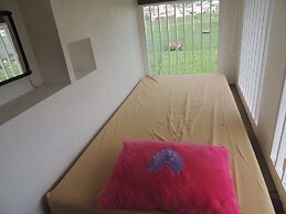 Penginapan Dieng 0km