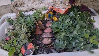 João de Barro Hospedagem