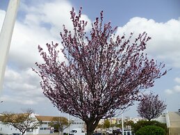 3-bed Apartment in Town Centre With Beach Access!