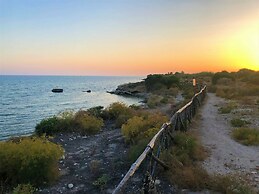 Holiday House Il Gufo e La Civetta Apts - Eco-friendly