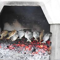 Apartments Nina & Kate