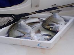 Apartments Nina & Kate