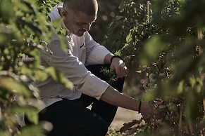 Celestial All Suites