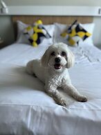 ibis Bucharest Politehnica