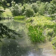 Charming 2-bed Apartment in Arlesheim 15 min Basel