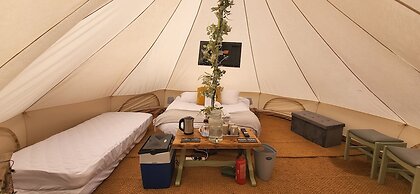Campsite - The Ring Pub Glamping Pods