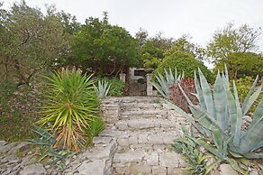 Vacation House Planika