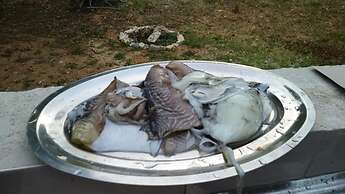 Krka Fairytale Village