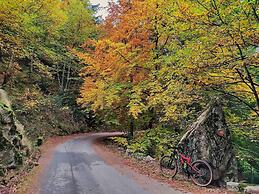 19th Centry Farmhouse Getaway - Sleep 12-14 W/pool