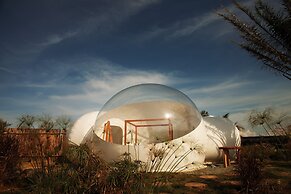 Greenland Bubble Glamping