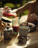 Green Land Bubble Glamping By Mint