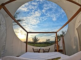 Green Land Bubble Glamping By Mint