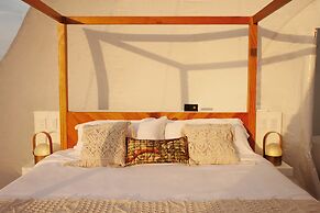 Green Land Bubble Glamping By Mint