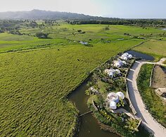 Green Land Bubble Glamping By Mint