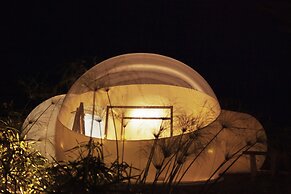 Green Land Bubble Glamping By Mint