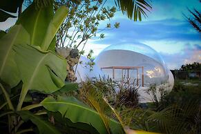 Green Land Bubble Glamping By Mint