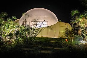 Green Land Bubble Glamping By Mint