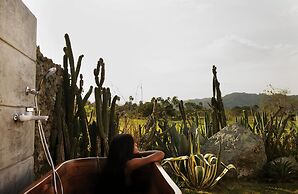 Green Land Bubble Glamping By Mint