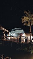 Green Land Bubble Glamping By Mint