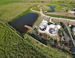 Green Land Bubble Glamping By Mint