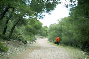 Harmony Vale- Anavissos