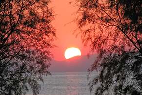 Harmony Vale- Anavissos