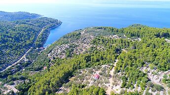 Greenside Cottage Lumi