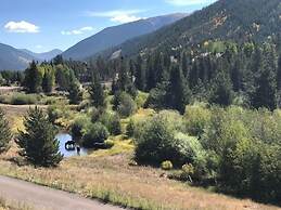 Lodgepole 2011
