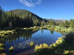 Lodgepole 2011
