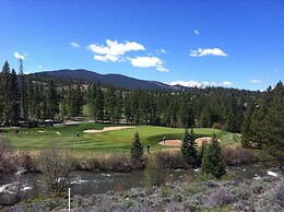 Lodgepole 2011