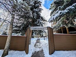 Lodgepole 2011
