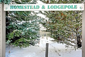 Lodgepole 2011