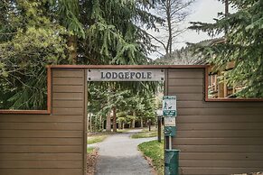 Lodgepole 2011