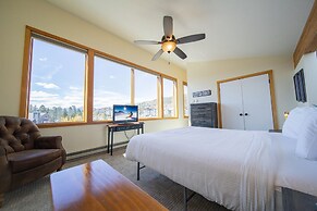 Lodgepole 2011