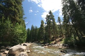 Lodgepole 2011