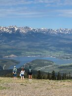 Lodgepole 2011