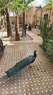 Marrakesh 6-bed Housing Authentic Berber
