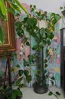 Luxury Family Amalfi Coast Villa