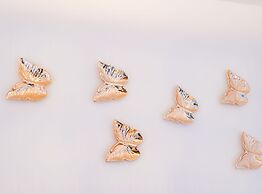 Apartment Butterfly