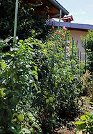 Apartment Garden M&M