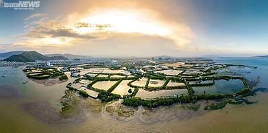 NHATUIshare Quy Nhon