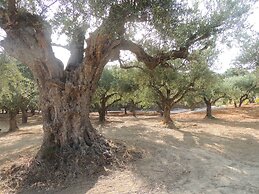 Captivating 5br Pool Villa Close Navarino Golf