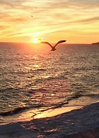 Quinta Barracuda Albufeira, Luxury Beach Apartment