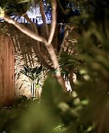 CityHouse - CityOasis